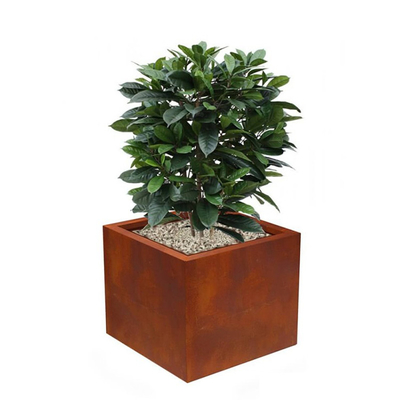 Customized Outdoor Large Planter Box Rectangular Corten Steel Flower Pots