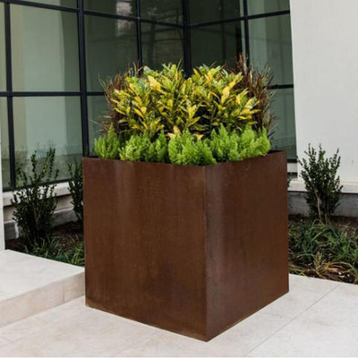 SGS TUV  Corten Steel Cube Planter Laser Cut Rusty Steel Planters abrasion proof