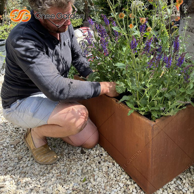 1200*500*600mm Corten Steel Vegetable Planters Rusted Metal Planter Boxes
