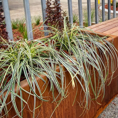 600mm 700mm 1000mm Outdoor Rectangular Tin Planter For Tree Planting