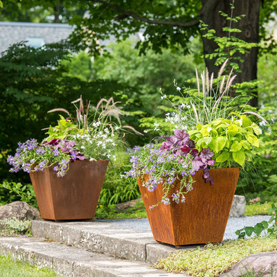 Laser Cut Corten Steel Large Metal Planters Outdoor Customized