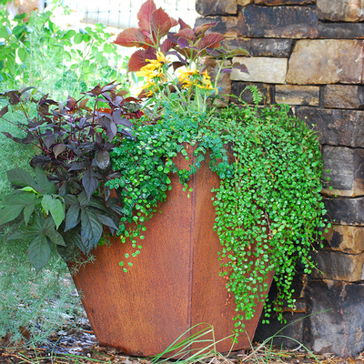 OEM ODM Raised Rectangular Metal Planter Box Corten Steel