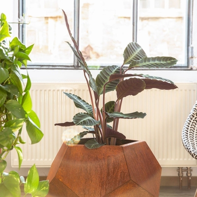 Laser Cut Corten Steel Planter Garden Outdoor Flower Pot